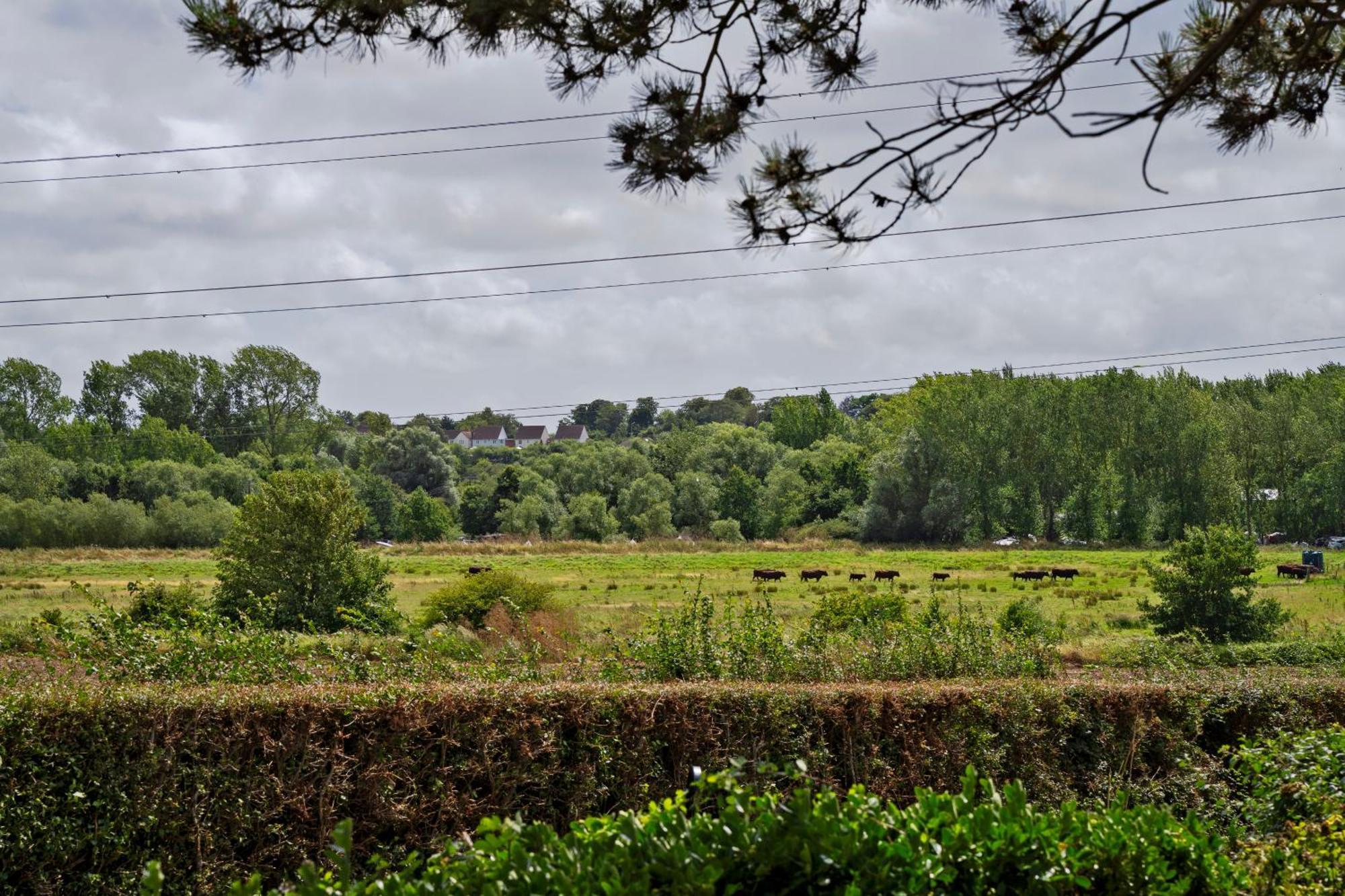 Owlet Lodge Chislet Luaran gambar