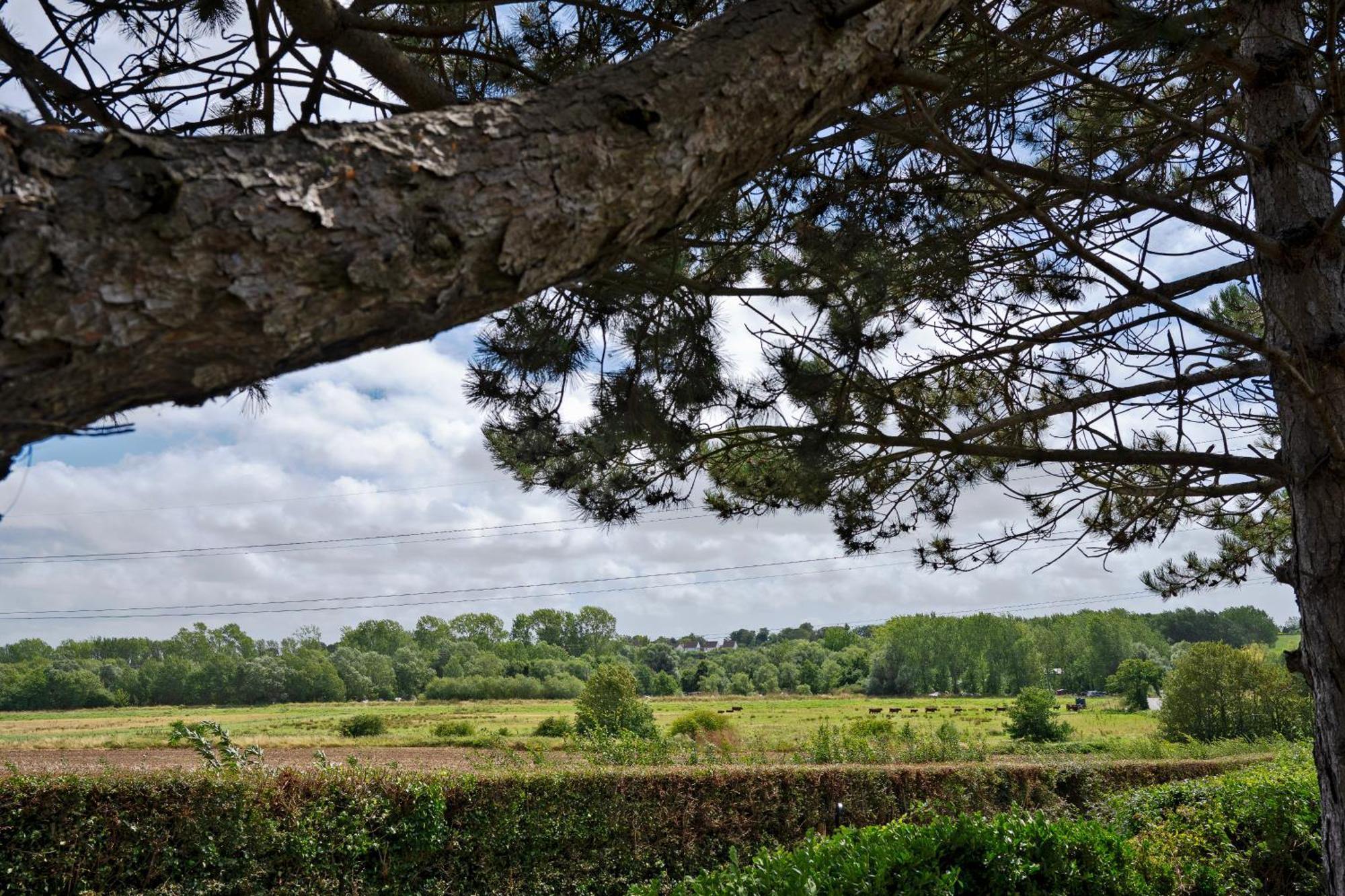 Owlet Lodge Chislet Luaran gambar
