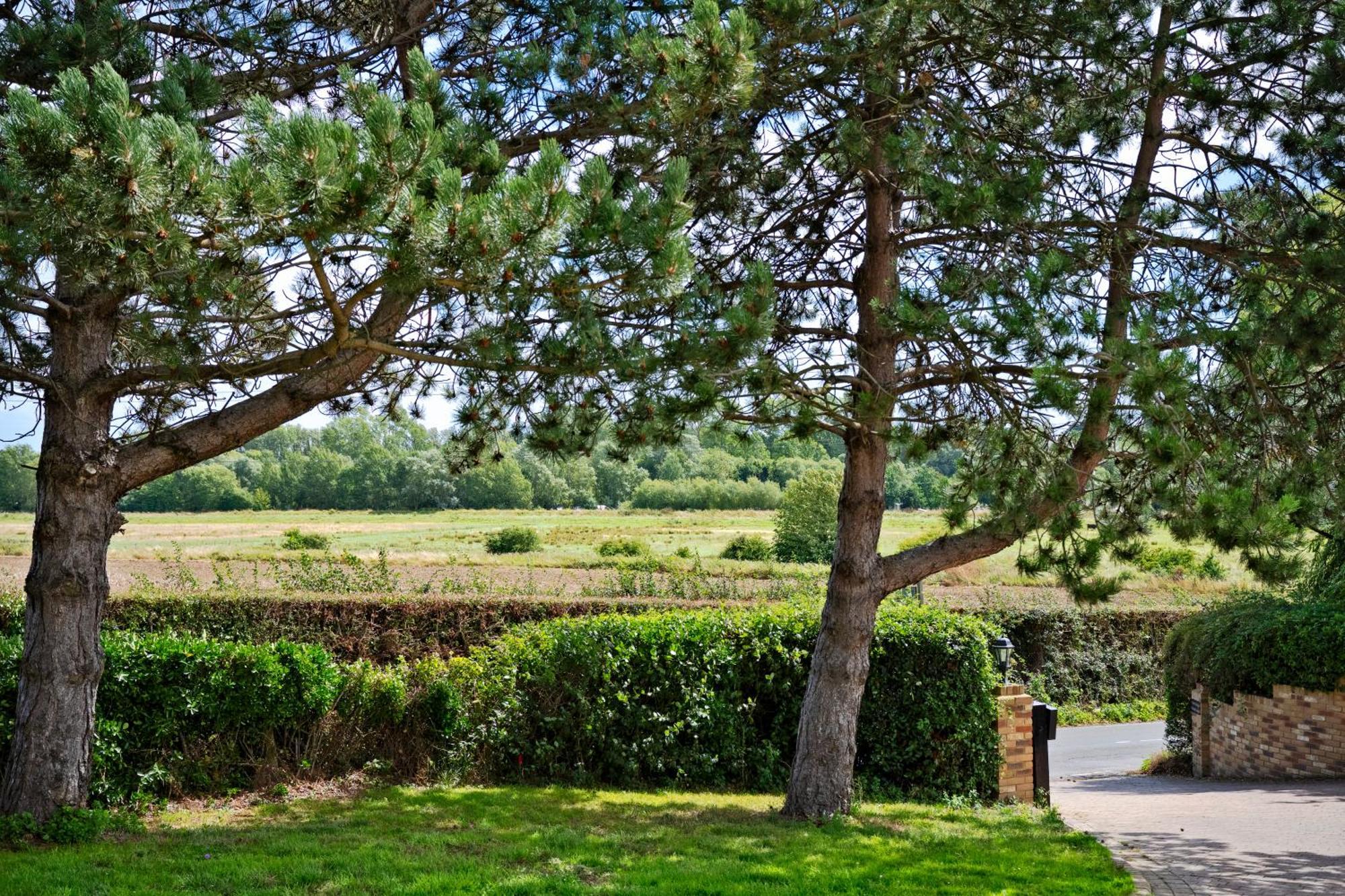 Owlet Lodge Chislet Luaran gambar